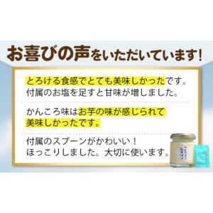 ふるさと納税 菓子 プリン 長崎県 新上五島町...の詳細画像4
