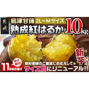 ふるさと納税 野菜類 サツマイモ 宮崎県 都城市 先行受付 11月お届け 島津甘藷　熟成紅はるか 10kg(2L〜M)_AA-A701-11_(都城市) 島津甘藷 紅はるか 未選別 10k…