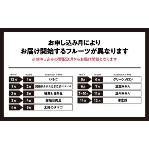 ふるさと納税 果物類 宮崎県 宮崎市 青果店厳...の詳細画像2