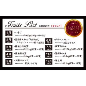 ふるさと納税 果物類 宮崎県 宮崎市 青果店厳...の詳細画像5