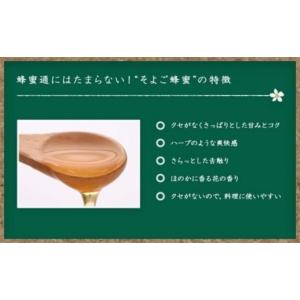 ふるさと納税 加工品等 はちみつ 福岡県 八女...の詳細画像4
