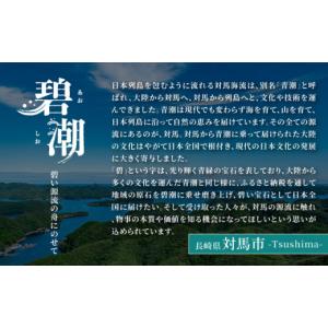 ふるさと納税 加工品等 長崎県 対馬市 全12...の詳細画像5