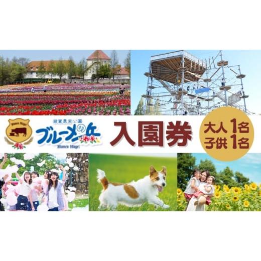 ふるさと納税 入場券・優待券 滋賀県 日野町 滋賀農業公園 ブルーメの丘 大人1名・子供1名 入園券...