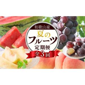ふるさと納税 果物の詰合せ 和歌山県 海南市 定...の商品画像