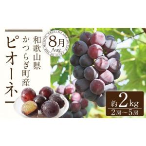 ふるさと納税 果物の詰合せ 和歌山県 海南市 ...の詳細画像4