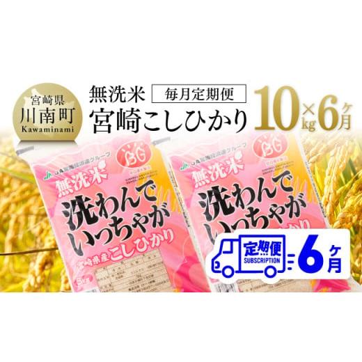 ふるさと納税 宮崎県 川南町 【6ヶ月定期便】（令和5年産）宮崎県産無洗米「こしひかり」10kg【 ...