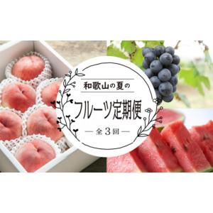 ふるさと納税 果物の詰合せ 和歌山県 高野町 ...の詳細画像1