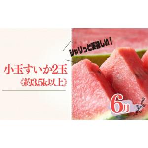 ふるさと納税 果物の詰合せ 和歌山県 高野町 ...の詳細画像2