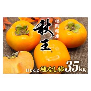 ふるさと納税 果物類 柿 和歌山県 橋本市 2025年10月以降発送 ふるさと納税 果物類 柿 和歌山県 橋本市 2025年10月以降発送
