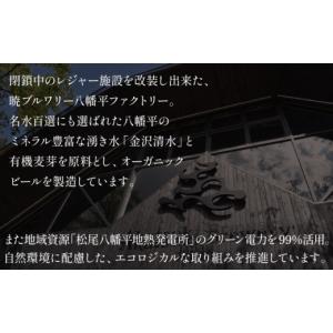 ふるさと納税 ビール 地ビール 岩手県 八幡平...の詳細画像4