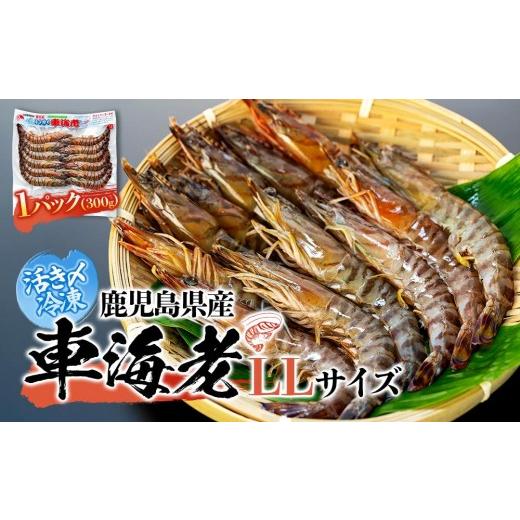 ふるさと納税 エビ 車エビ 鹿児島県 屋久島町 鹿児島県産 活き〆冷凍 車海老（養殖）LLサイズ 3...