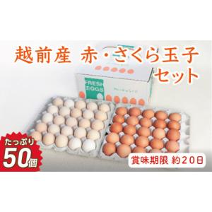 ふるさと納税 卵（鶏、烏骨鶏等） 福井県 越前市 お届け日指定可 越前産赤玉子・さくら玉子セット50個入り（45個+割れ補償5個入り） 冷蔵・卵