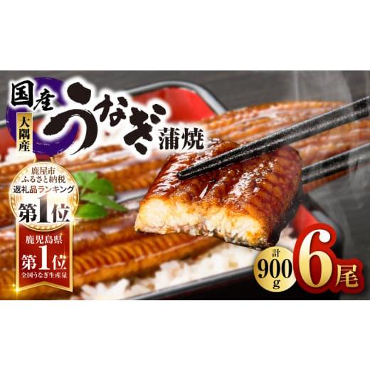 ふるさと納税 うなぎ 鹿児島県 鹿屋市 2181 鹿児島県大隅産うなぎ蒲焼6尾 計900g　KN00...