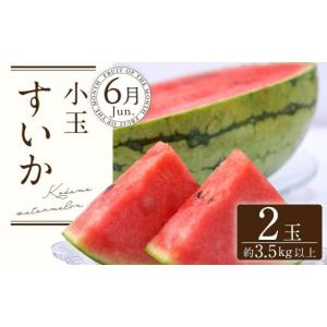 ふるさと納税 果物類 和歌山県 和歌山市 定期...の詳細画像2