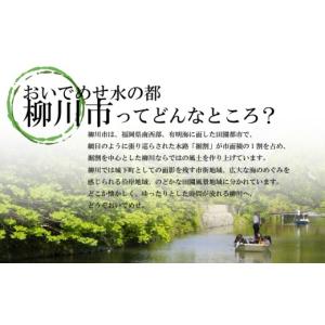 ふるさと納税 家具 収納家具 福岡県 柳川市 ...の詳細画像3