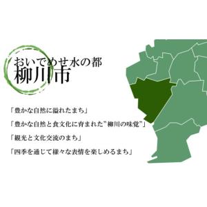 ふるさと納税 家具 収納家具 福岡県 柳川市 ...の詳細画像4