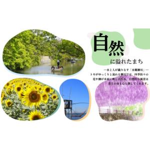 ふるさと納税 家具 収納家具 福岡県 柳川市 ...の詳細画像5