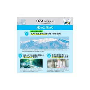 ふるさと納税 炭酸飲料 ソーダ水 山形県 山形...の詳細画像5