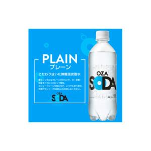 ふるさと納税 炭酸飲料 ソーダ水 山形県 山形...の詳細画像3