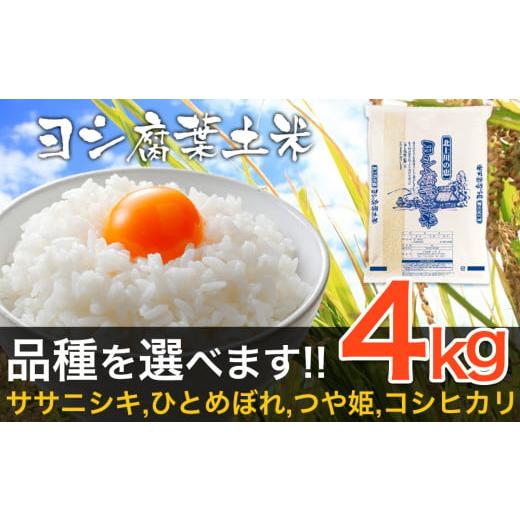 ふるさと納税 宮城県 石巻市 令和5年産 品種が選べる ヨシ腐葉土米 精米4kg ＜ササニシキ＞　 ...