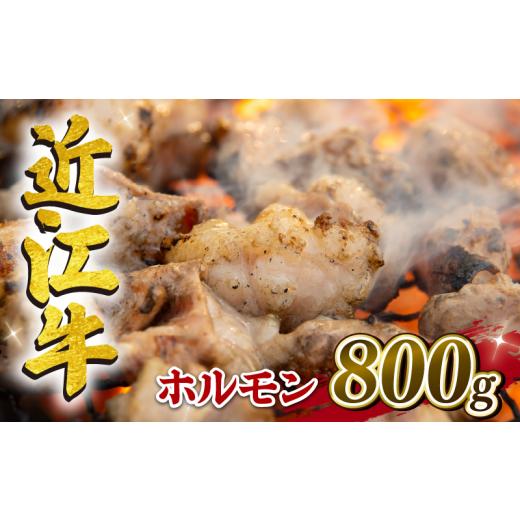 ふるさと納税 滋賀県 竜王町 近江牛 ホルモン 800g 冷凍 黒毛和牛 ( 10000円 ブランド...