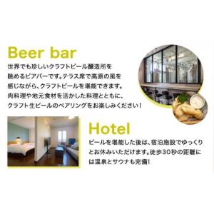 ふるさと納税 ビール 地ビール 北海道 岩内町...の詳細画像5