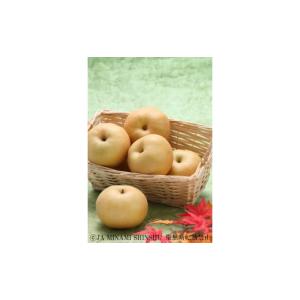 ふるさと納税 梨 長野県 喬木村 8-J06 ...の詳細画像2