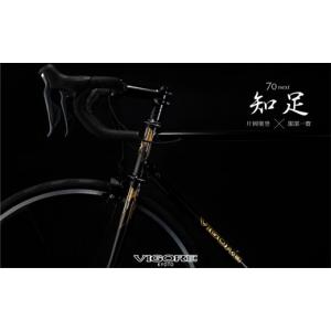 ふるさと納税 自転車 京都府 京都市 VIGO...の詳細画像1