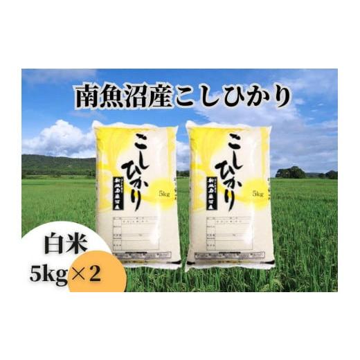 ふるさと納税 新潟県 南魚沼市 中【令和5年産】【新潟県 特A地区】南魚沼産こしひかり 白米10kg...