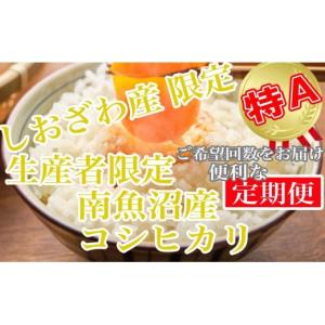 ふるさと納税 米 コシヒカリ 新潟県 南魚沼市...の詳細画像1