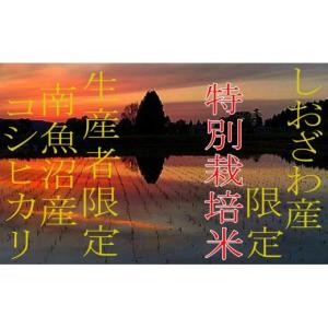 ふるさと納税 米 コシヒカリ 新潟県 南魚沼市...の詳細画像4