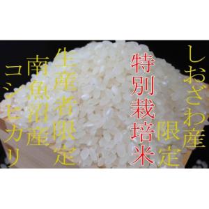 ふるさと納税 米 コシヒカリ 新潟県 南魚沼市...の詳細画像5