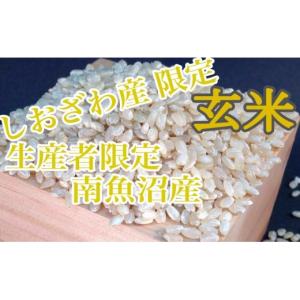 ふるさと納税 玄米 新潟県 南魚沼市 令和7年...の詳細画像3