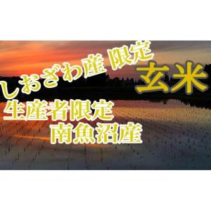 ふるさと納税 玄米 新潟県 南魚沼市 令和7年...の詳細画像4