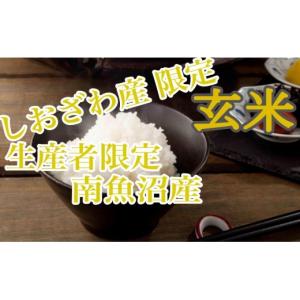 ふるさと納税 玄米 新潟県 南魚沼市 令和7年...の詳細画像5