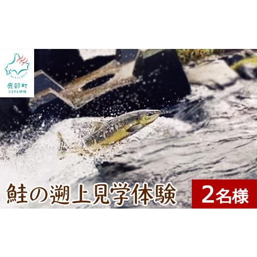 ふるさと納税 北海道 鹿部町 鮭の遡上見学体験 2名様分 道の駅しかべ間歇泉公園 入園券付 旅行 観...