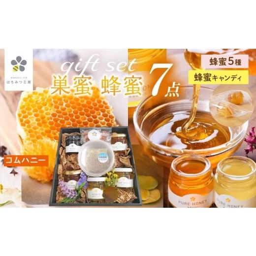 ふるさと納税 加工品等 はちみつ 千葉県 君津市 巣蜜（コムハニー）入り 蜂蜜 7点ギフトセット｜5...