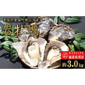 ふるさと納税 愛媛県 愛南町 規格外 岩牡蠣 約3.0kg 滅...