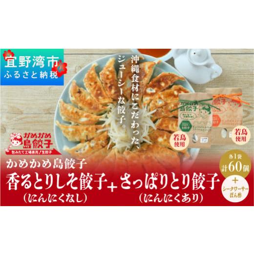 ふるさと納税 沖縄県 宜野湾市 餃子 冷凍 かめかめ島餃子 やんばる若鶏（にんにく・しそ）（ 30個...