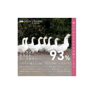 ふるさと納税 タオル・寝具 掛け布団 山梨県 ...の詳細画像4
