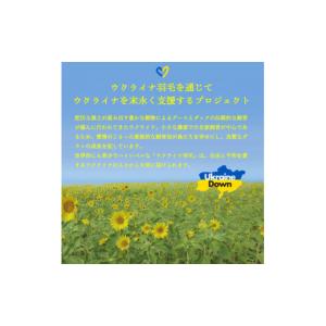 ふるさと納税 タオル・寝具 掛け布団 山梨県 ...の詳細画像2
