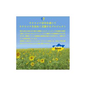 ふるさと納税 タオル・寝具 掛け布団 山梨県 ...の詳細画像2
