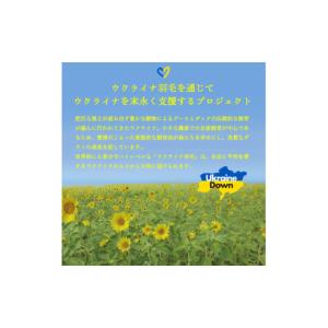 ふるさと納税 タオル・寝具 掛け布団 山梨県 ...の詳細画像2