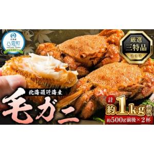 ふるさと納税 北海道 八雲町 北海道近海産毛ガニ500g前後×2尾(2024年3月下旬予定)