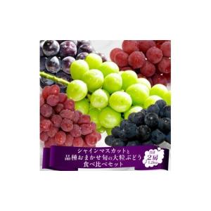 ふるさと納税 ぶどう マスカット 山形県 寒河江市 先行予約 令和8年産 シャインマスカット と 品種おまかせ ぶどう 食べ比べセット 計1.2kg以上（2房） 2026…