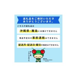 ふるさと納税 ぶどう マスカット 山形県 寒河...の詳細画像2