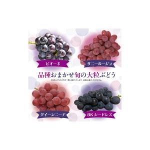 ふるさと納税 ぶどう マスカット 山形県 寒河...の詳細画像4