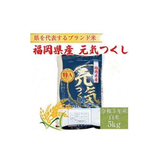 ふるさと納税 福岡県 添田町 令和5年産 福岡県産 ブランド米「元気つくし」白米 5kg [a025...