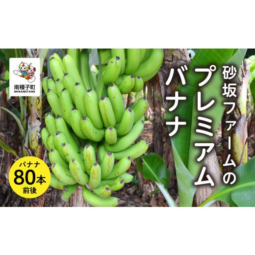 ふるさと納税 果物類 鹿児島県 南種子町 砂坂ファームのプレミアムバナナ （８０本前後）