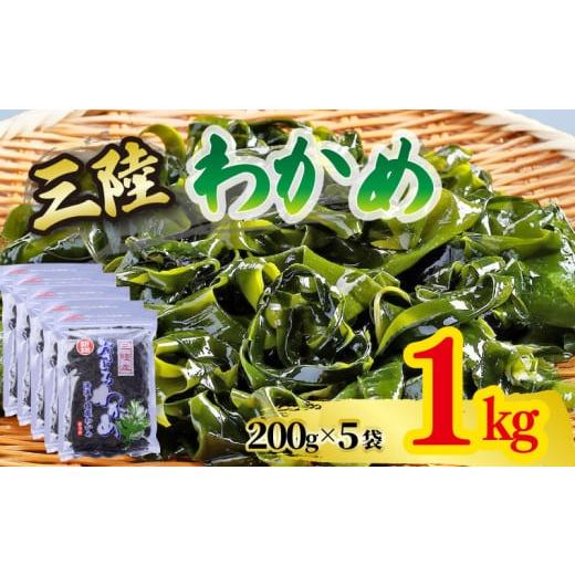 ふるさと納税 のり・海藻 わかめ 岩手県 大船渡市 おさしみわかめ 1kg 200g×5袋 湯通し塩...